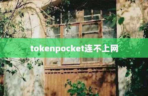 tokenpocket连不上网