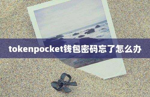 tokenpocket钱包密码忘了怎么办