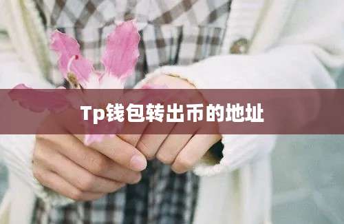 Tp钱包转出币的地址