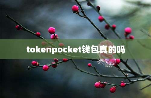 tokenpocket钱包真的吗