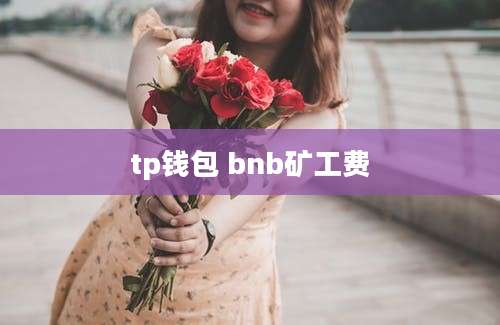 tp钱包 bnb矿工费