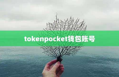 tokenpocket钱包账号