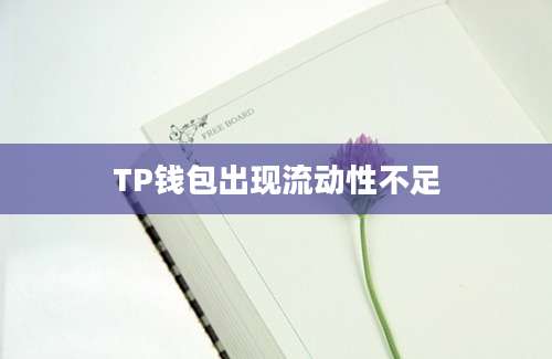 TP钱包出现流动性不足