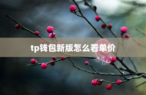 tp钱包新版怎么看单价