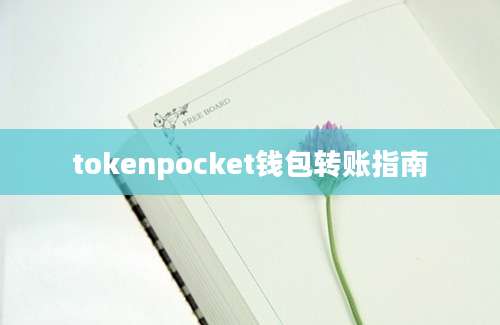 tokenpocket钱包转账指南