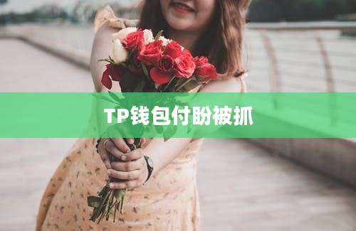 TP钱包付盼被抓