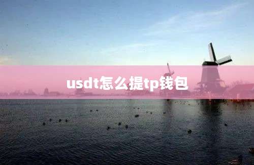 usdt怎么提tp钱包