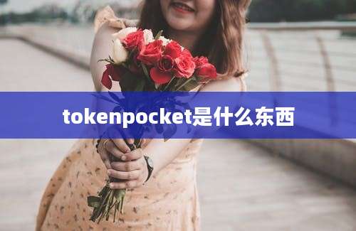 tokenpocket是什么东西