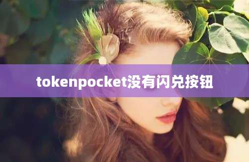 tokenpocket没有闪兑按钮