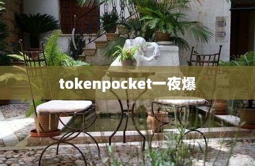 tokenpocket一夜爆