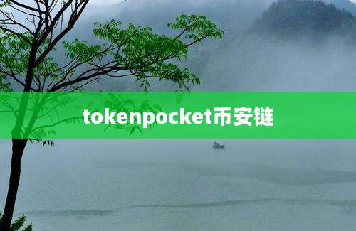 tokenpocket币安链