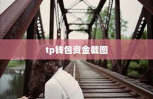 tp钱包资金截图