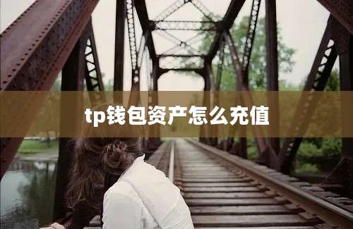 tp钱包资产怎么充值