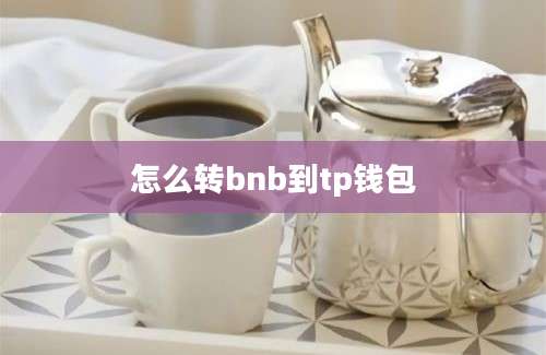 怎么转bnb到tp钱包