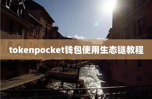 tokenpocket钱包使用生态链教程