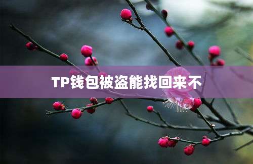 TP钱包被盗能找回来不