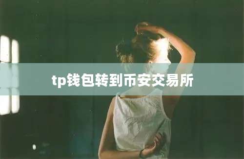 tp钱包转到币安交易所