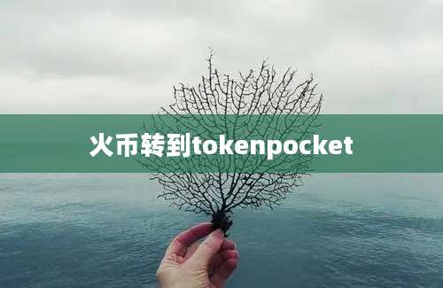 火币转到tokenpocket