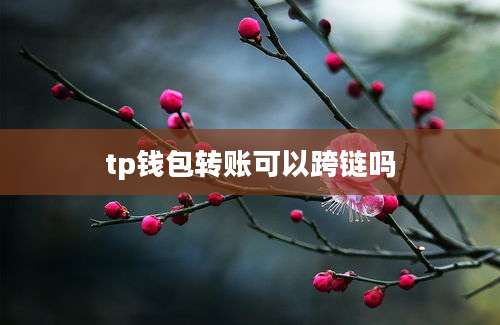 tp钱包转账可以跨链吗