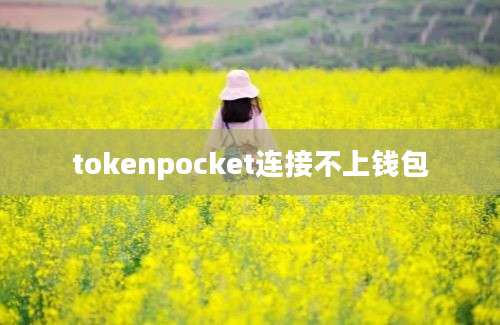 tokenpocket连接不上钱包