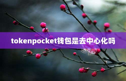 tokenpocket钱包是去中心化吗