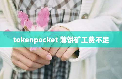 tokenpocket 薄饼矿工费不足