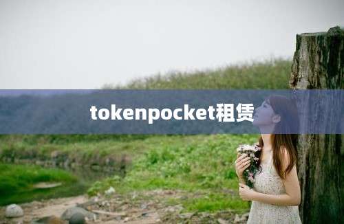 tokenpocket租赁