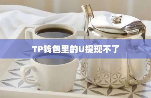 TP钱包里的U提现不了