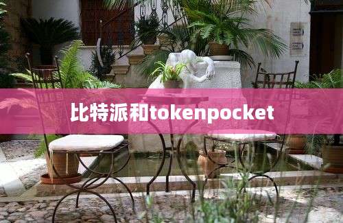 比特派和tokenpocket