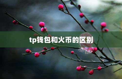 tp钱包和火币的区别