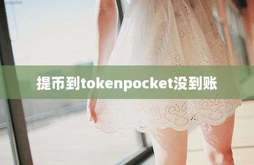 提币到tokenpocket没到账