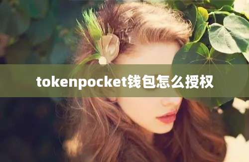 tokenpocket钱包怎么授权