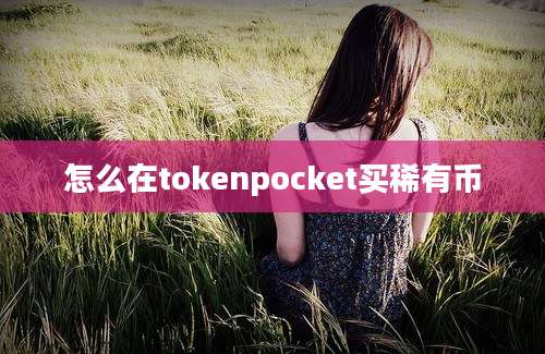 怎么在tokenpocket买稀有币