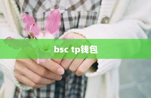 bsc tp钱包