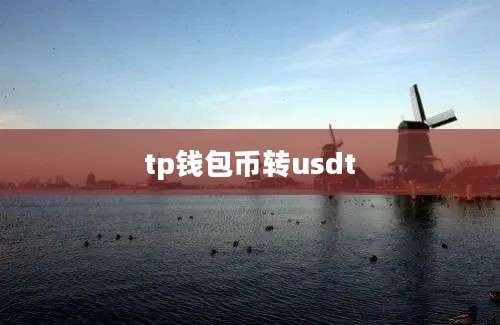 tp钱包币转usdt