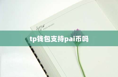 tp钱包支持pai币吗