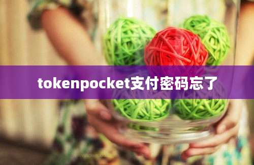 tokenpocket支付密码忘了