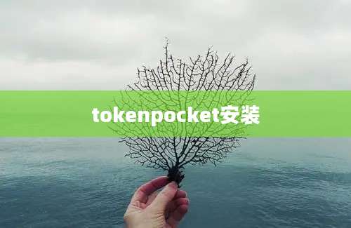 tokenpocket安装