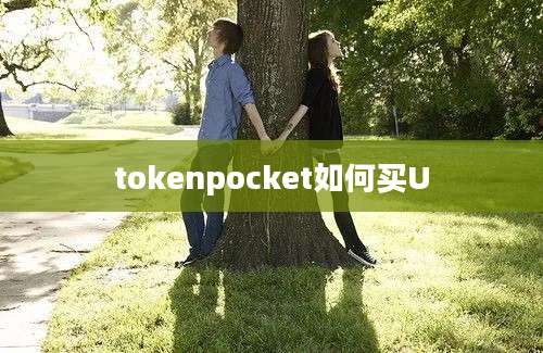 tokenpocket如何买U