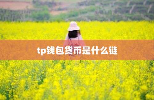 tp钱包货币是什么链