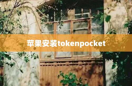 苹果安装tokenpocket