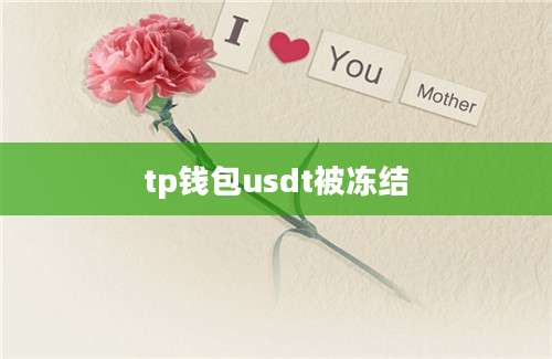 tp钱包usdt被冻结