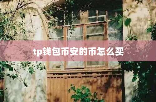 tp钱包币安的币怎么买