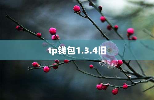 tp钱包1.3.4旧