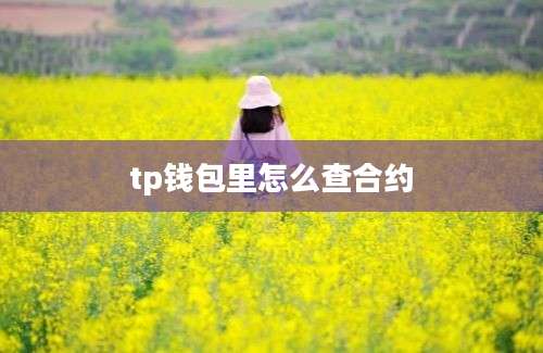 tp钱包里怎么查合约