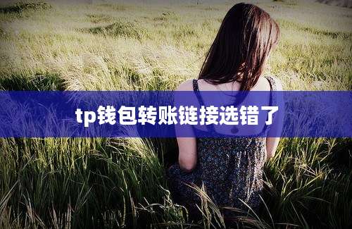 tp钱包转账链接选错了