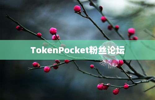 TokenPocket粉丝论坛