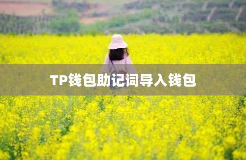 TP钱包助记词导入钱包