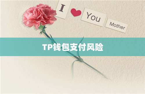 TP钱包支付风险