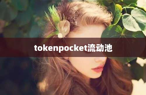 tokenpocket流动池